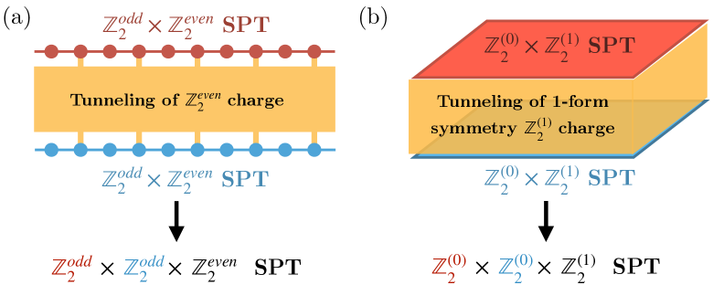 Symmetry protected topological phases under decoherence