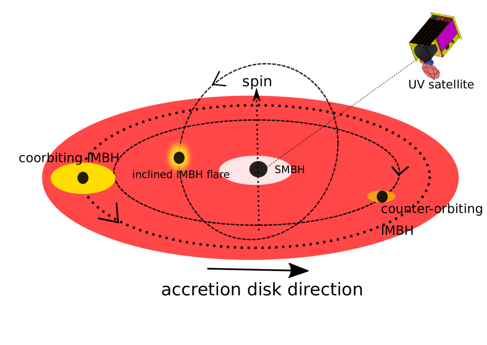 Science with a small two-band UV-photometry mission III: Active