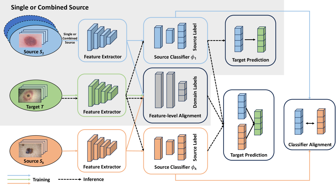 Achieving Reliable and Fair Skin Lesion Diagnosis via Unsupervised Domain Adaptation