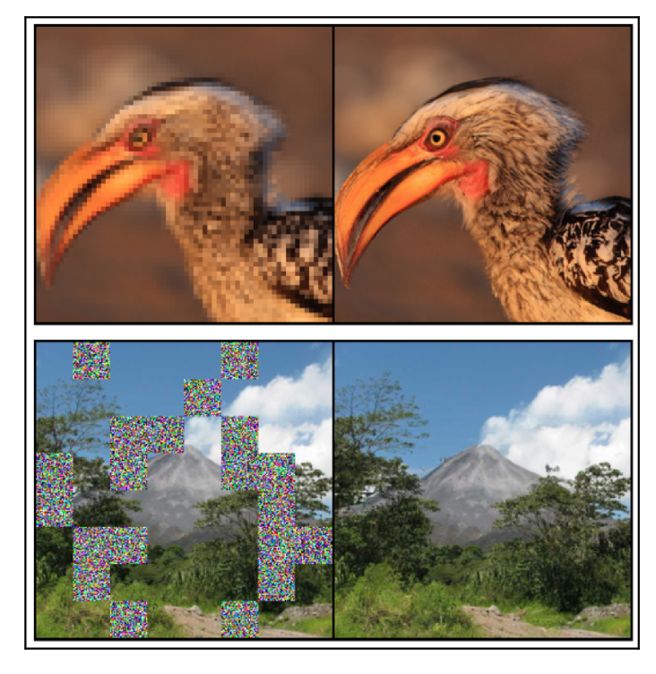 Stochastic interpolants with data-dependent couplings