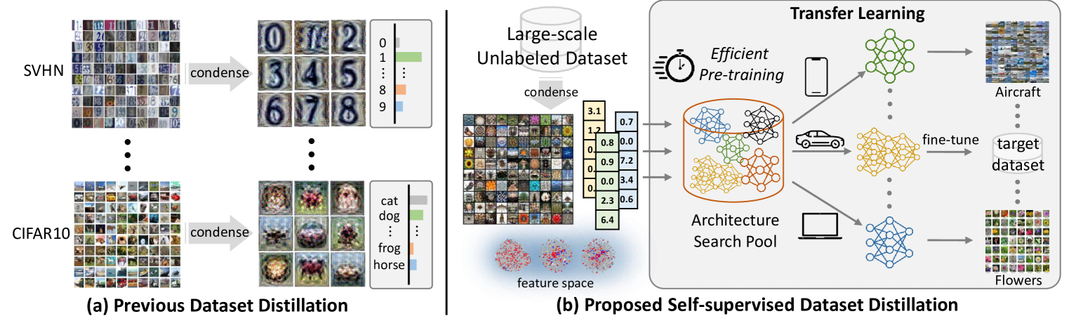 Self-Supervised Dataset Distillation for Transfer Learning