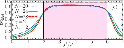 \psfrag{BNx}{ ${\mathcal{B}}_{\textrm{N\'{e}el}}^{x}$}\psfrag{a}{(a)}\psfrag{b}{(b)}\psfrag{c}{(c)}\psfrag{d}{(d)}\psfrag{e}{(e)}\psfrag{d2}{$\gamma\!=\!2$}\psfrag{jp}{ $J^{\prime}/J$}\psfrag{x}{ $2/3$}\psfrag{N=28}{$N\!\!=\!\!28$}\psfrag{N=20}{$N\!\!=\!\!20$}\psfrag{N=24}{$N\!\!=\!\!24$}\psfrag{N=12}{$N\!\!=\!\!12$}\psfrag{N=16}{$N\!\!=\!\!16$}\psfrag{h=0}{$h_{\rm z}\!=\!0$}\psfrag{h=1}{$h_{\rm z}\!=\!1$}\psfrag{h=2}{$h_{\rm z}\!=\!2$}\psfrag{h=-1}{$h_{\rm z}\!=\!-1$}\psfrag{h=-2}{$h_{\rm z}\!=\!-2$}\psfrag{0}{0}\psfrag{1}{1}\psfrag{2}{2}\psfrag{-1}{$-1$}\psfrag{-3}{$-3$}\psfrag{-2}{$-2$}\psfrag{-4}{$-4$}\psfrag{-5}{$-5$}\psfrag{-6}{$-6$}\psfrag{-7}{$-7$}\psfrag{3}{3}\psfrag{4}{4}\psfrag{5}{5}\psfrag{6}{6}\psfrag{7}{7}\psfrag{0.1}{$0.1$}\psfrag{0.2}{$0.2$}\psfrag{0.3}{$0.3$}\psfrag{0.4}{$0.4$}\psfrag{0.0}{$0.0$}\psfrag{0.5}{$0.5$}\psfrag{0.6}{$0.6$}\psfrag{0.7}{$0.7$}\includegraphics[width=230.0pt]{Binder-parameter-neelx-hz-2.0-gamma-2.0.eps}
