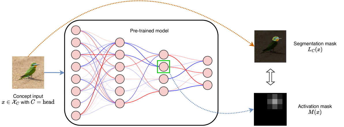 From Neural Activations to Concepts: A Survey on Explaining Concepts in Neural Networks