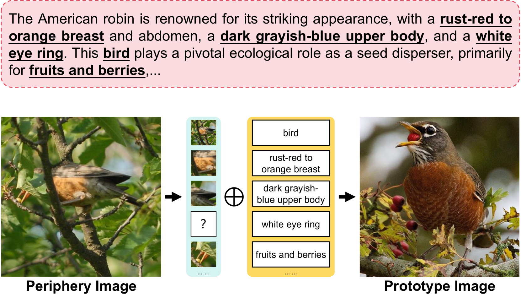 Simple Semantic-Aided Few-Shot Learning