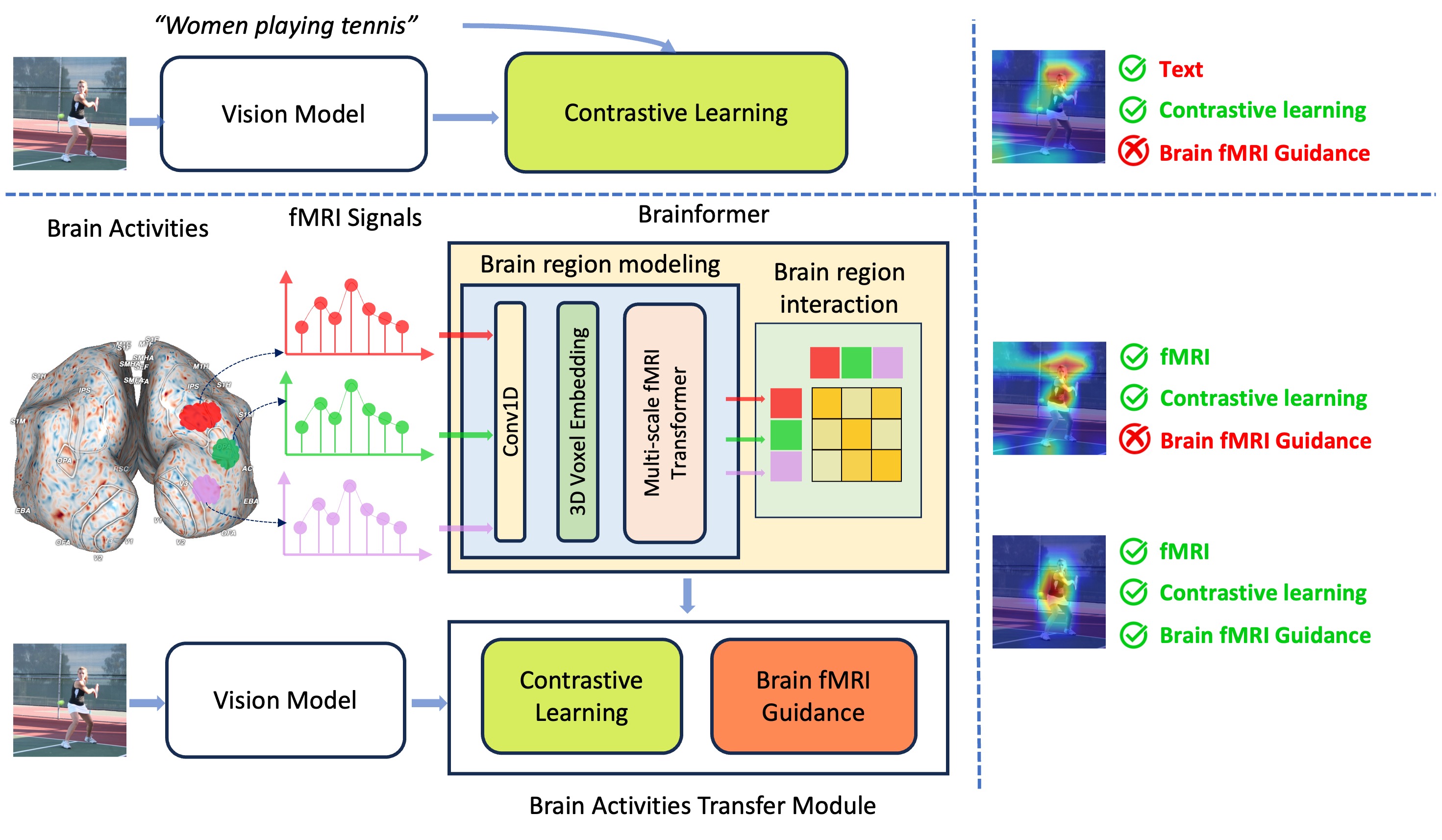 Brainformer: Mimic Human Visual Brain Functions to Machine Vision Models via fMRI