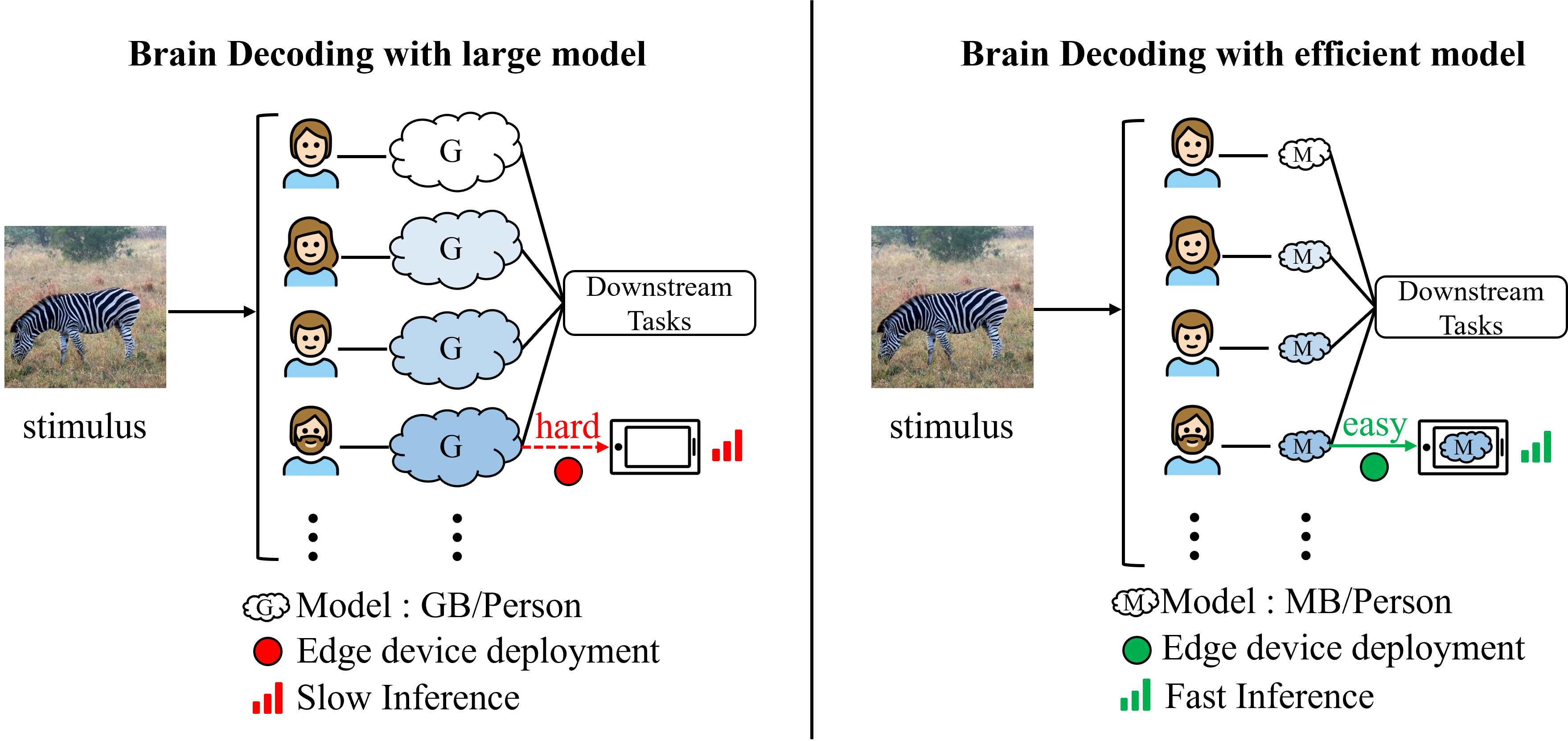 Lite-Mind: Towards Efficient and Robust Brain Representation Network