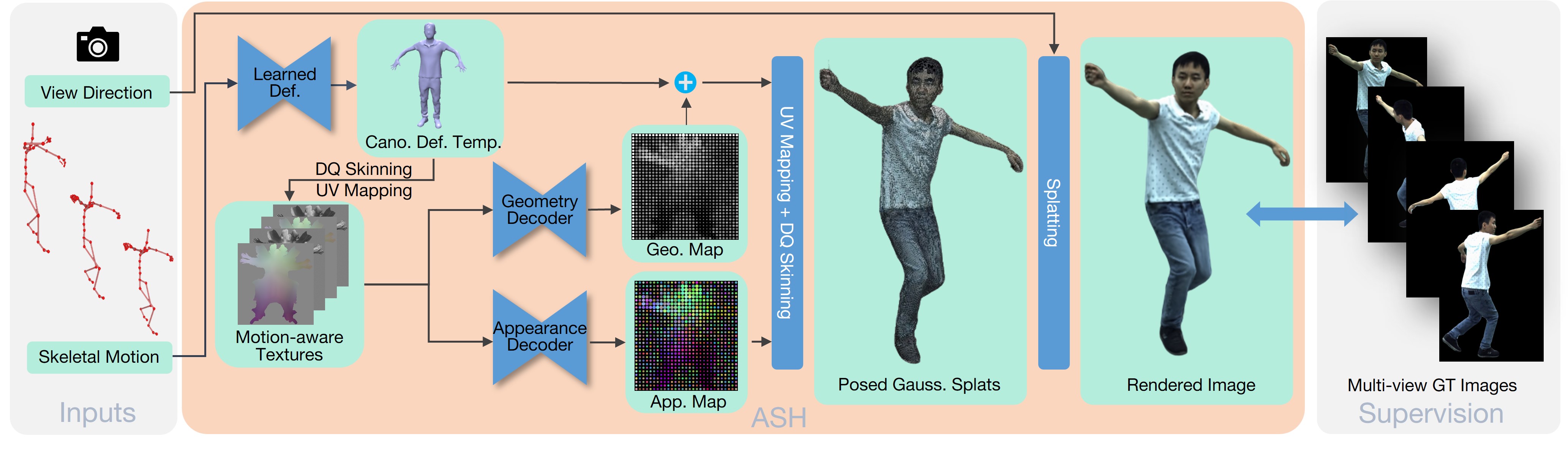 ASH: Animatable Gaussian Splats for Efficient and Photoreal Human Rendering