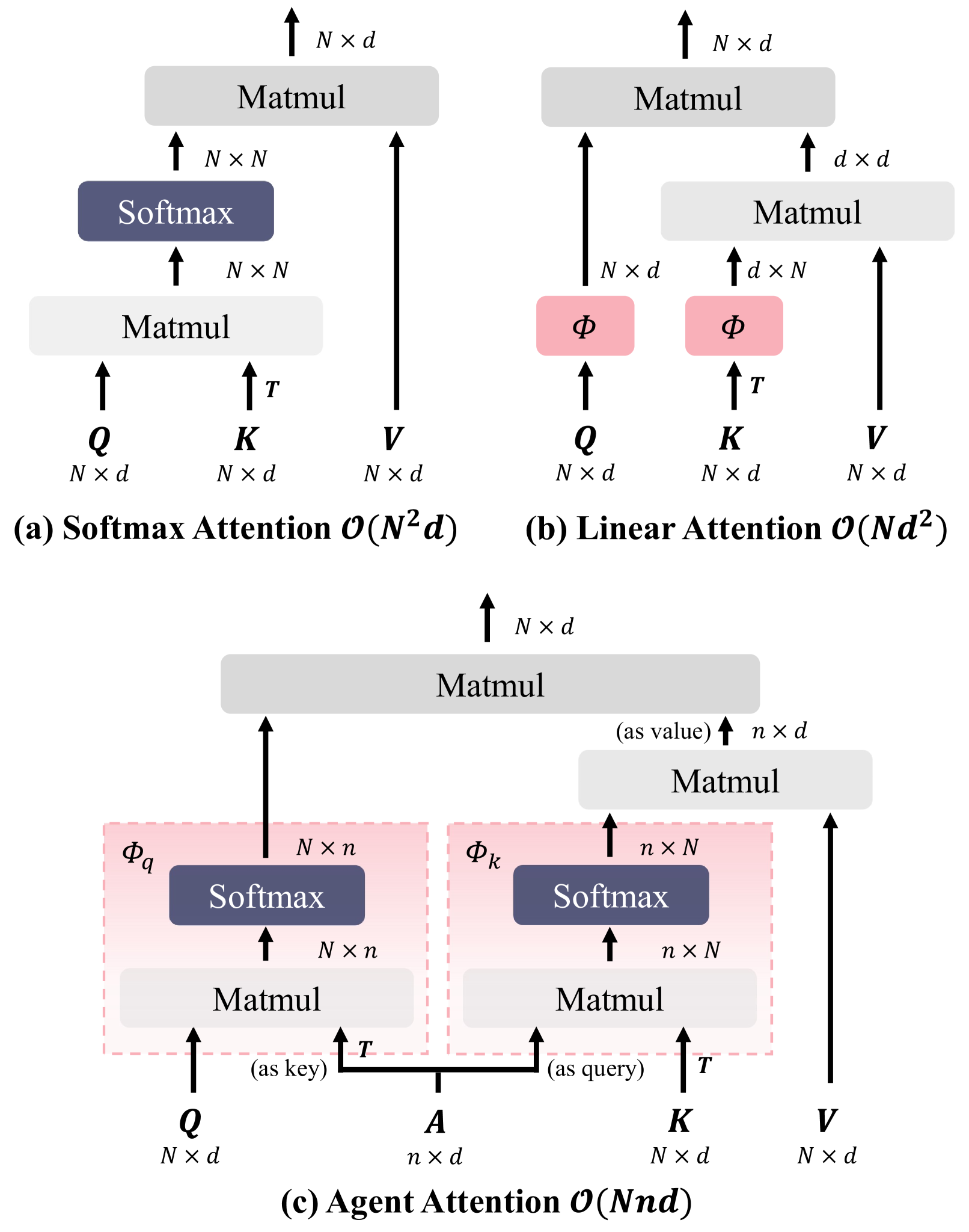 Agent Attention: On the Integration of Softmax and Linear Attention