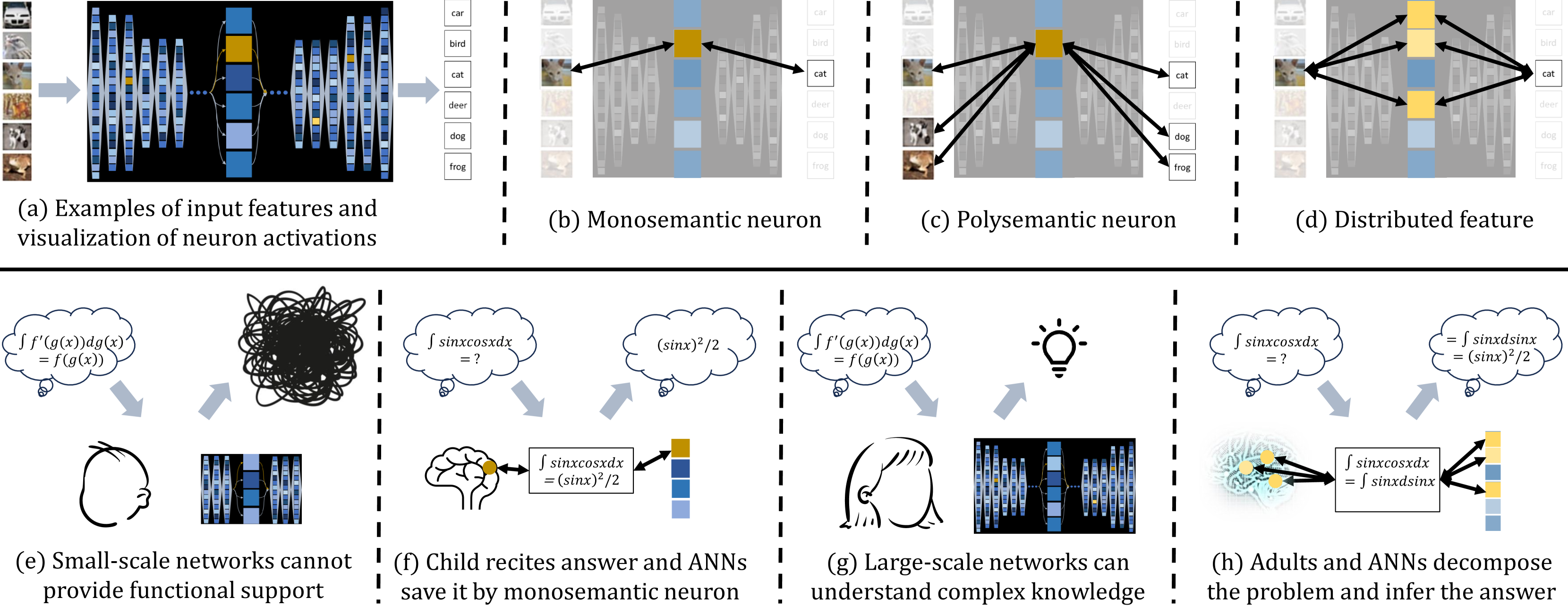 Learning from Emergence: A Study on Proactively Inhibiting the Monosemantic Neurons of Artificial Neural Networks