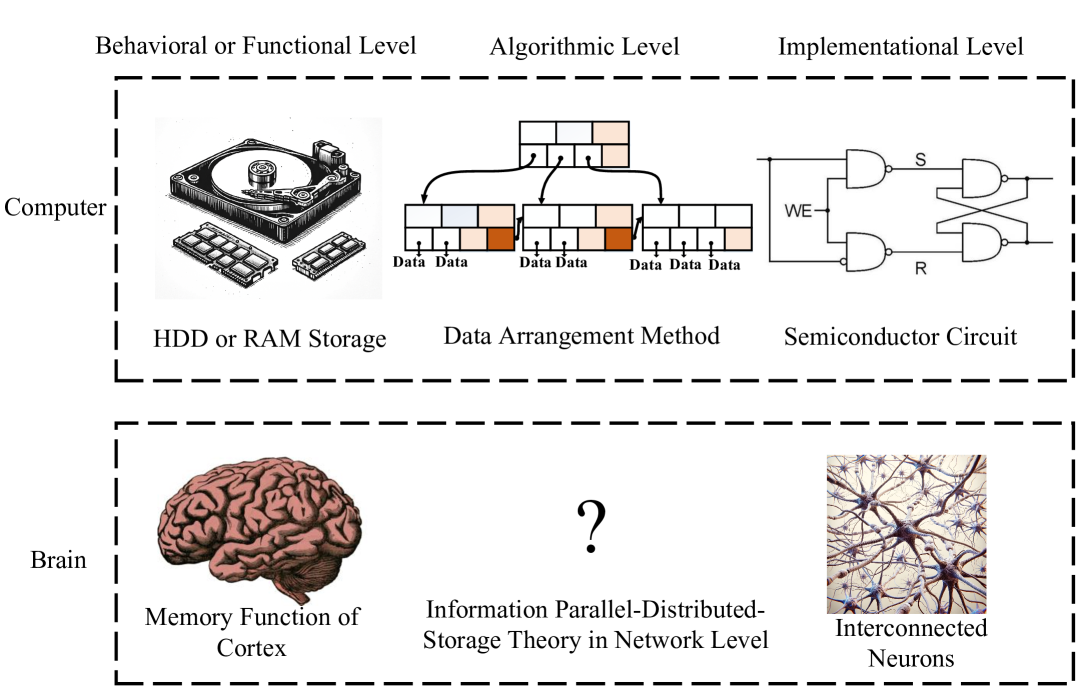 Modeling of Memory Mechanisms in Cerebral Cortex and Simulation of Storage Performance