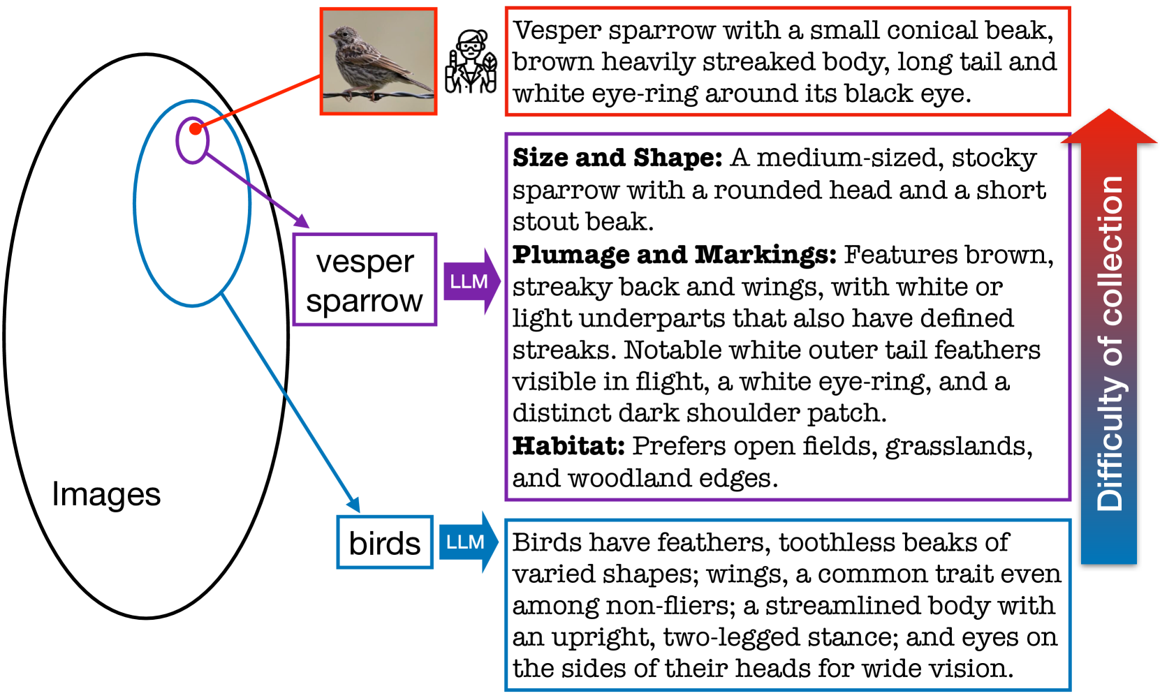 Improved Zero-Shot Classification by Adapting VLMs with Text Descriptions