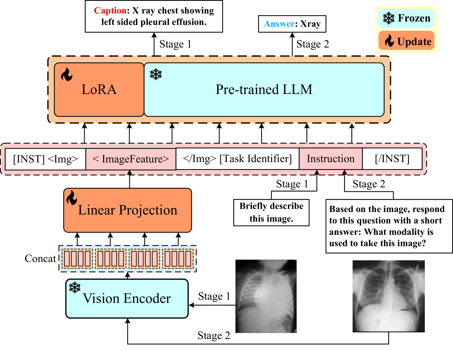 PeFoMed: Parameter Efficient Fine-tuning of Multimodal Large Language Models for Medical Imaging