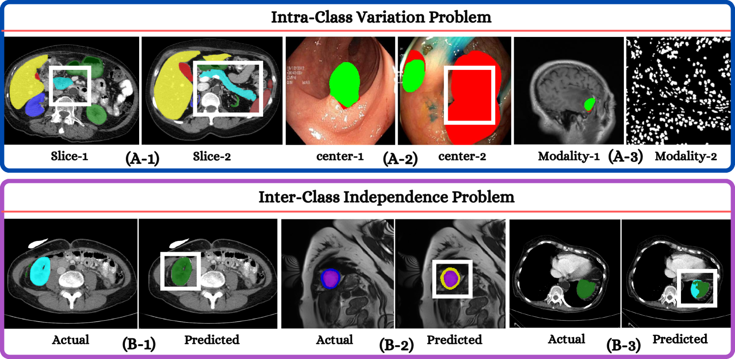 Harmonized Spatial and Spectral Learning for Robust and Generalized Medical Image Segmentation