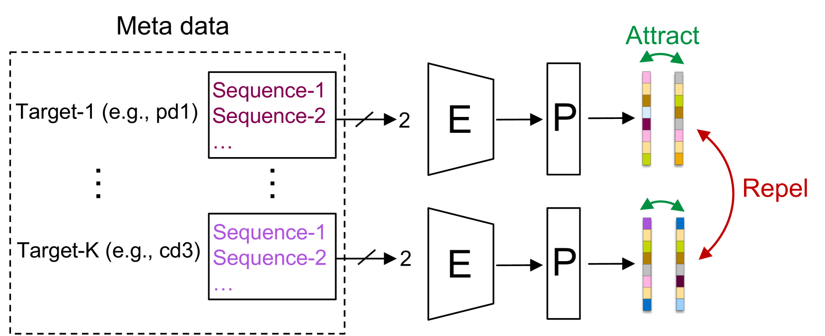 Improving Antibody Humanness Prediction using Patent Data