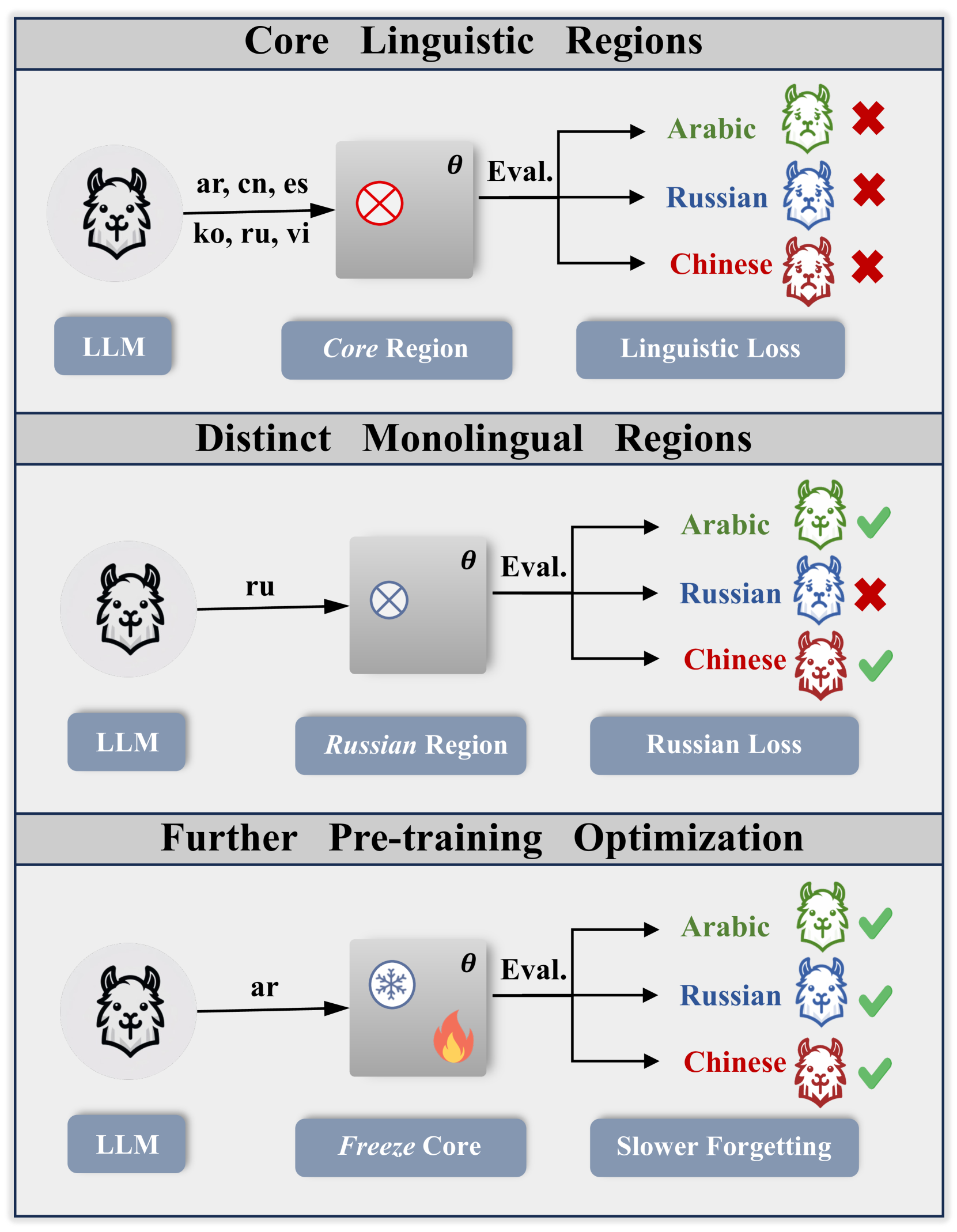 Unveiling Linguistic Regions in Large Language Models