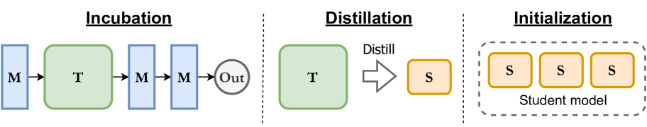 m2mKD: Module-to-Module Knowledge Distillation for Modular Transformers