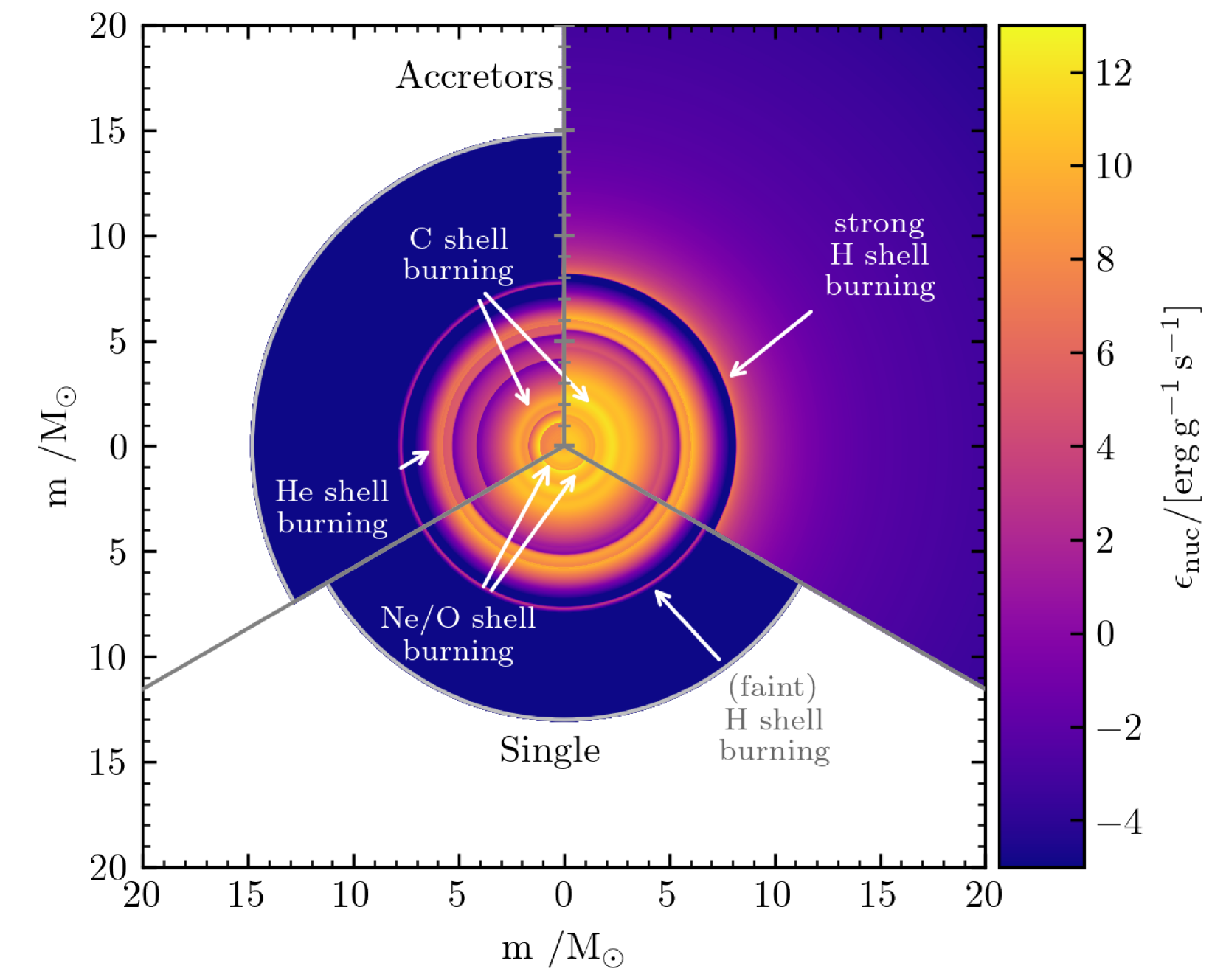 Pre-supernova evolution and final fate of stellar mergers and accretors of  binary mass transfer