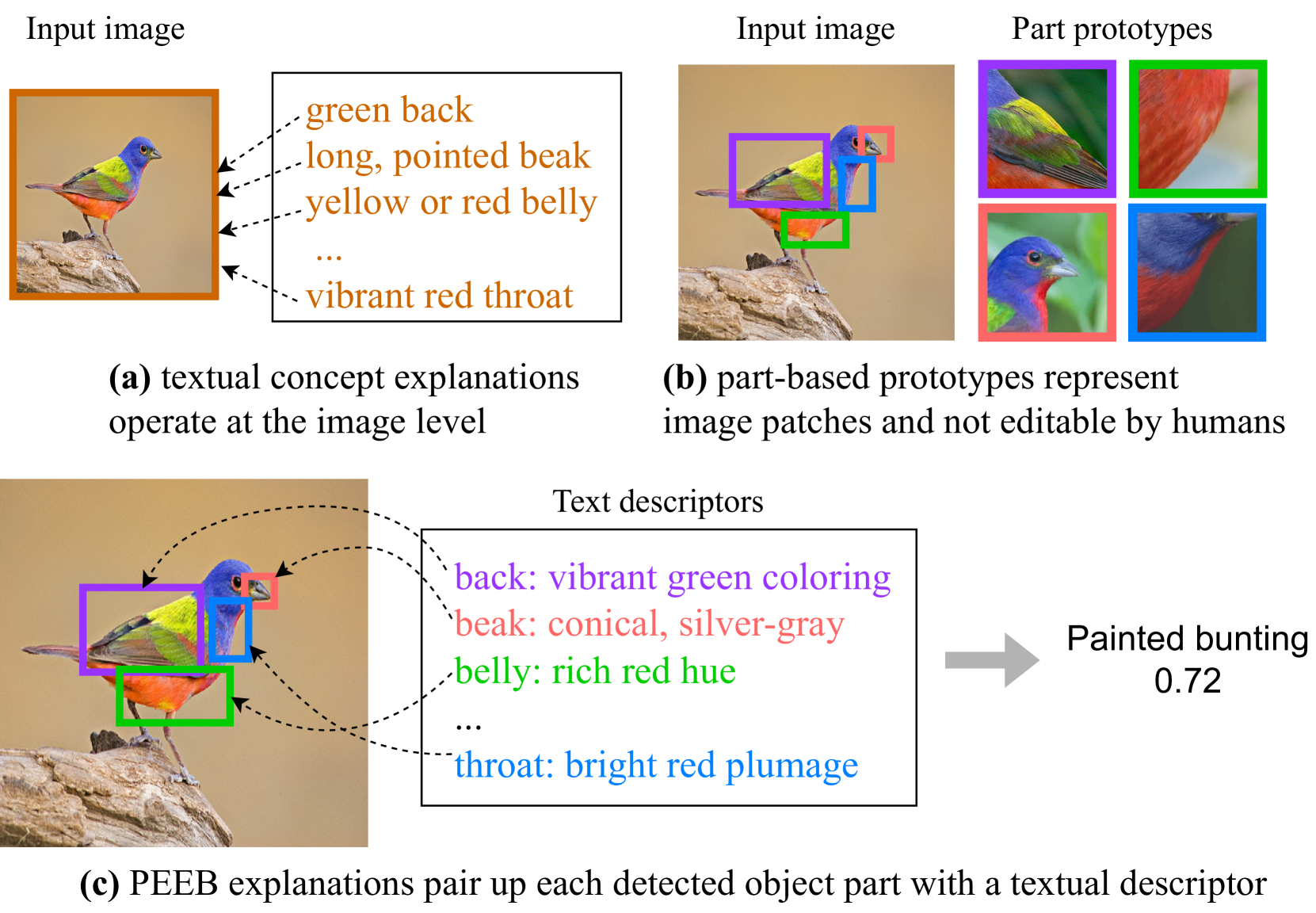 PEEB: Part-based Image Classifiers with an Explainable and Editable Language Bottleneck