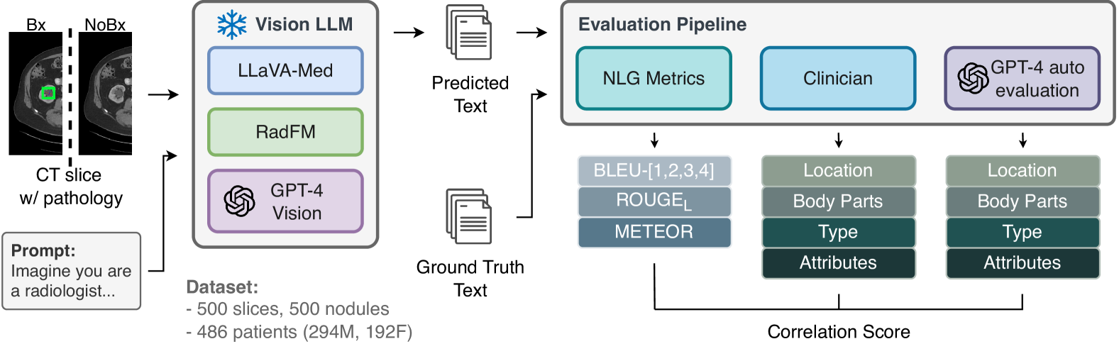 How Well Do Multi-modal LLMs Interpret CT Scans? An Auto-Evaluation Framework for Analyses