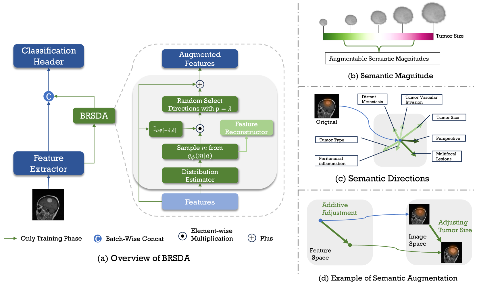 BSDA: Bayesian Random Semantic Data Augmentation for Medical Image Classification