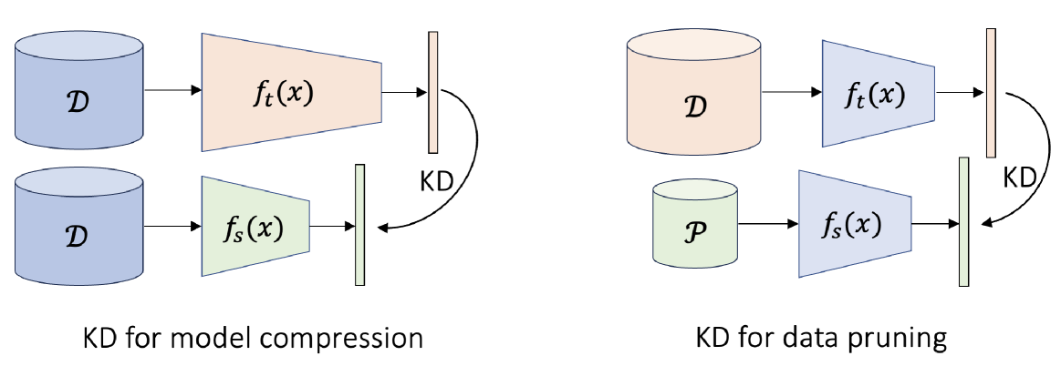 Distilling the Knowledge in Data Pruning