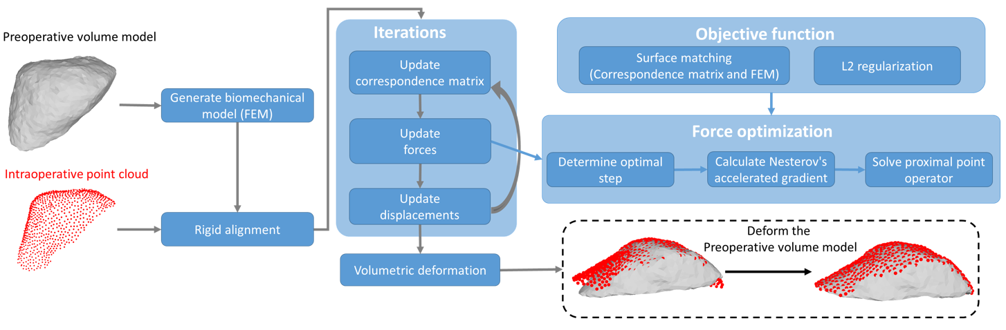 Boundary Constraint-free Biomechanical Model-Based Surface Matching for Intraoperative Liver Deformation Correction