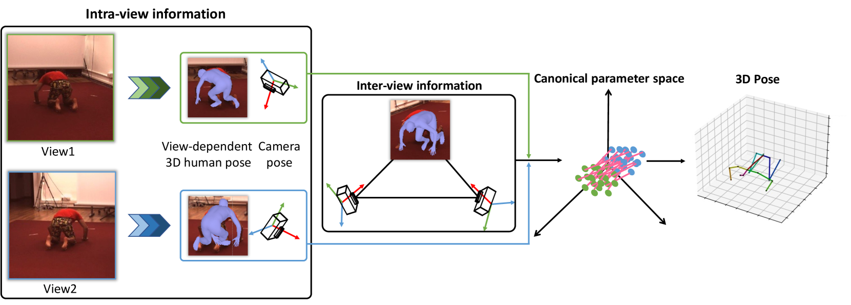 Self-learning Canonical Space for Multi-view 3D Human Pose Estimation