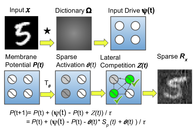 Improving Robustness to Model Inversion Attacks via Sparse Coding Architectures