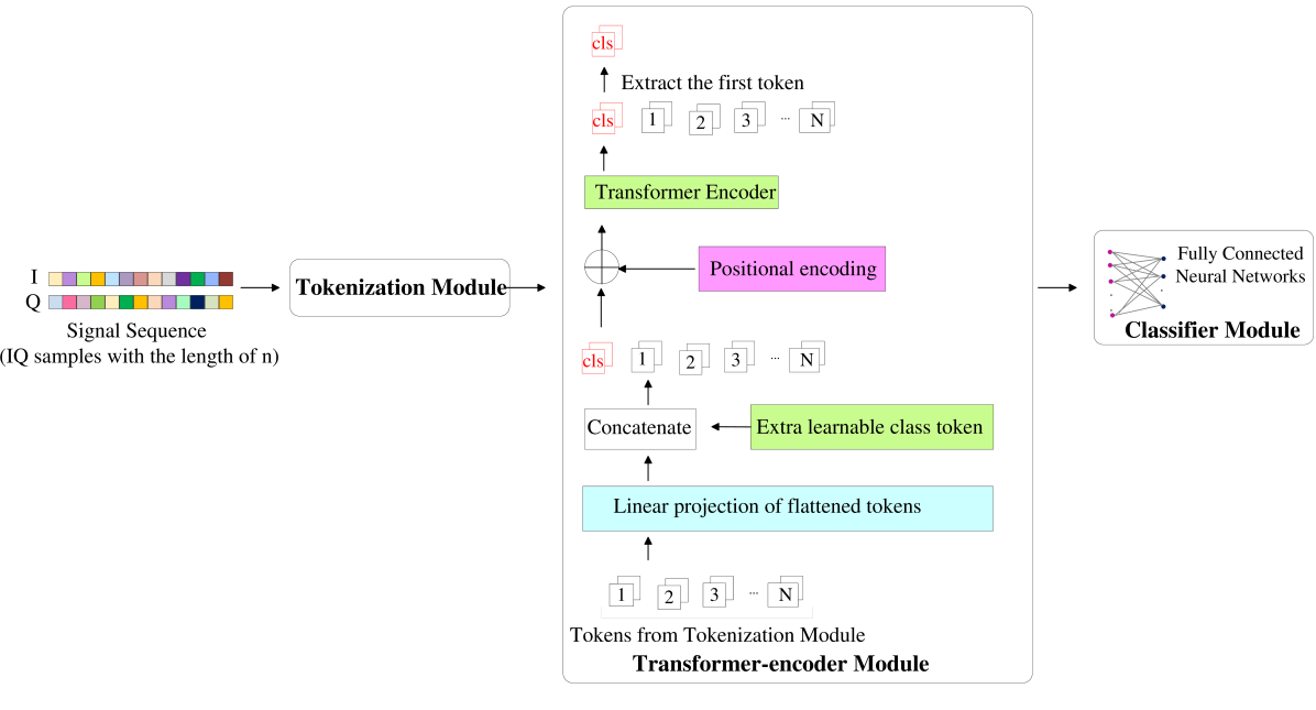 Enhancing Automatic Modulation Recognition for IoT Applications Using Transformers