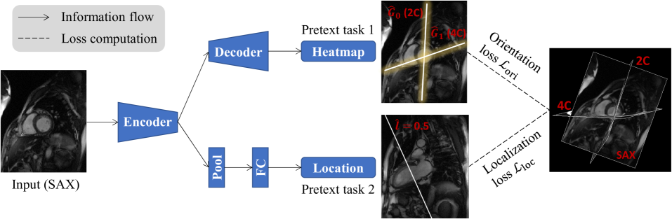 Self-Supervised Learning for Medical Image Data with Anatomy-Oriented Imaging Planes