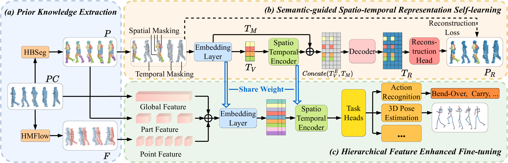 Figure 2: The main pipeline of UniPVU-Human, which can be divided into three stages, including (a) Prior Knowledge Extraction, (b) Semantic-Guided Spatio-temporal Representation Self-learning, and (c) Hierarchical Feature Enhanced Fine-tuning. First, the pre-trained HBSeg and HMFlow are used to provide geometric and dynamic information, including body part segmentation results and point-wise motion flow. Then, our self-learning stage incorporates a body-part-based mask prediction mechanism designed to facilitate the acquisition of geometric and dynamic representations of humans in the absence of annotations. Finally, we integrate global-level, part-level, and point-level features to boost the knowledge transfer to downstream tasks in the fine-tuning stage.