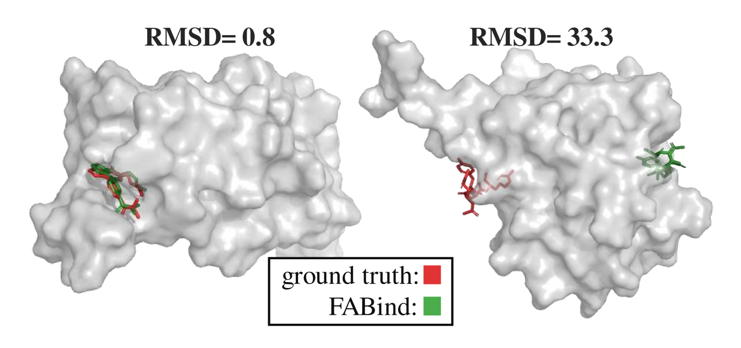 FABind+: Enhancing Molecular Docking through Improved Pocket Prediction and Pose Generation