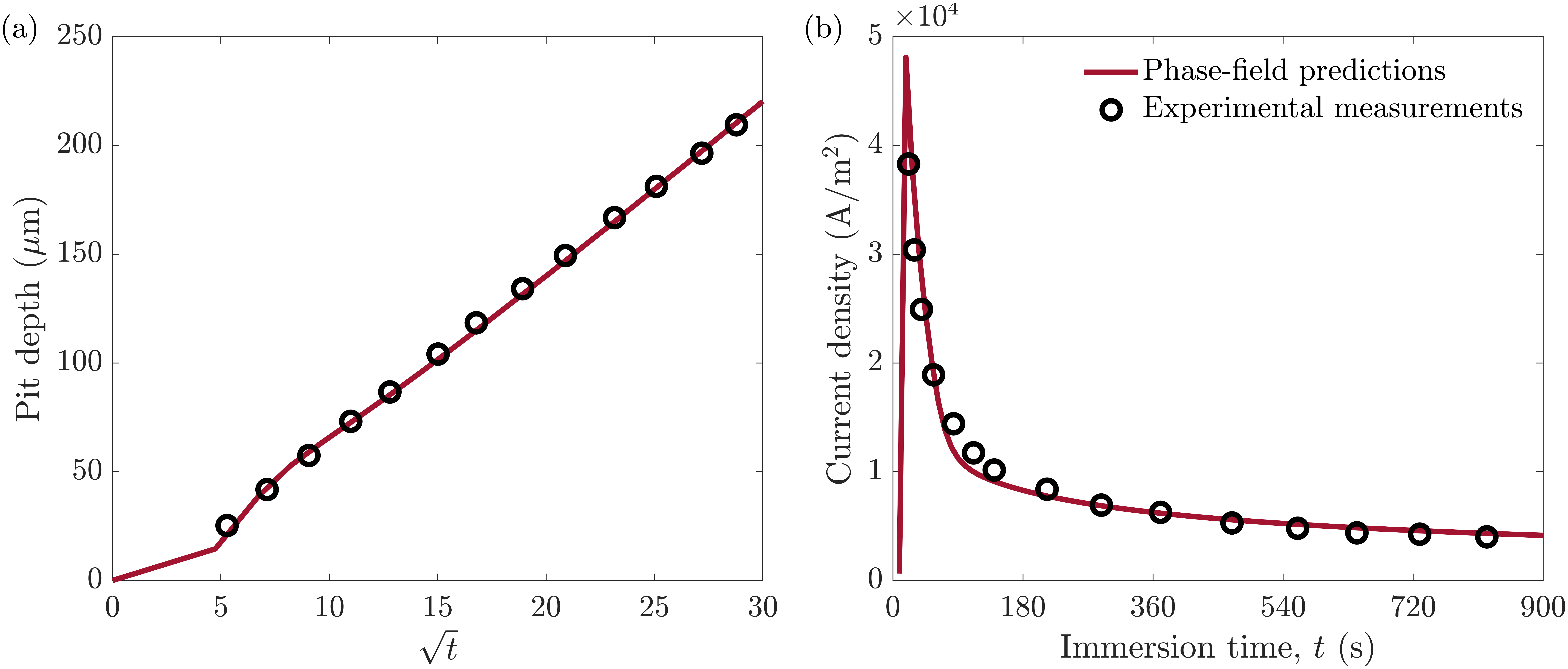 Figure 5: Comparison between experimental measurements ERNST2002a  and phase-field predictions of (a) the evolution of the pit depth and (b) current density as a function of immersion time in 1 M NaCl solution.