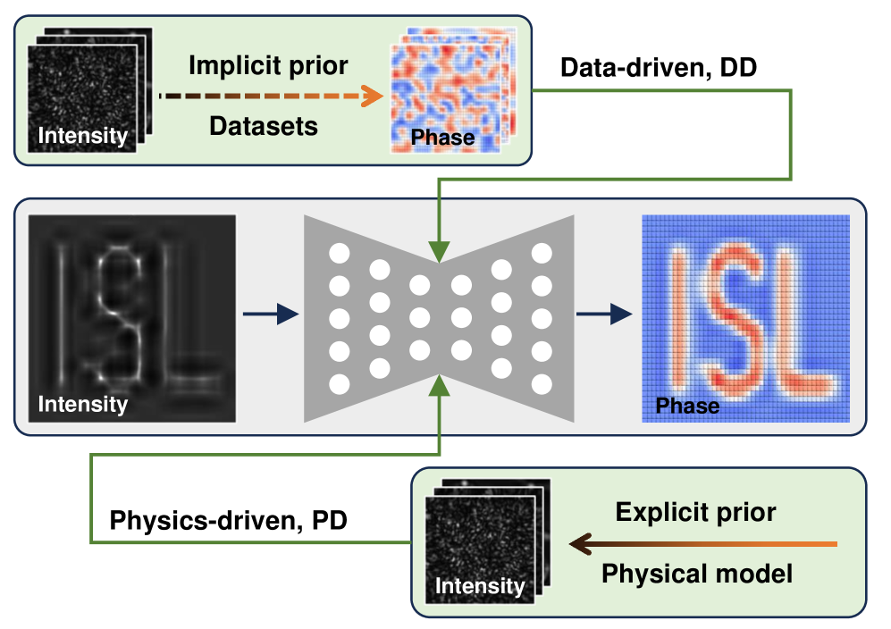 Harnessing Data and Physics for Deep Learning Phase Recovery