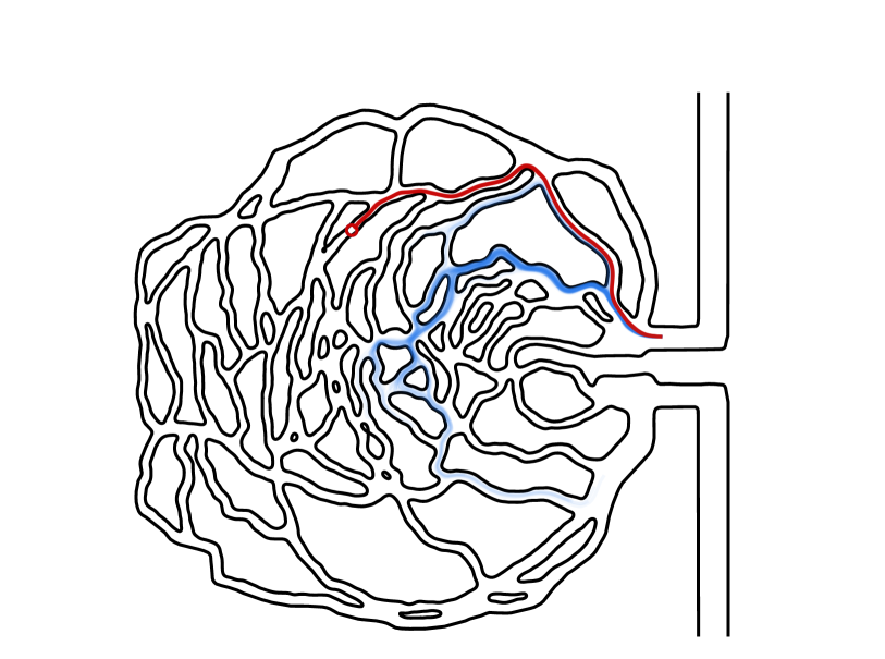 Path planning of magnetic microswimmers in high-fidelity simulations of capillaries with deep reinforcement learning