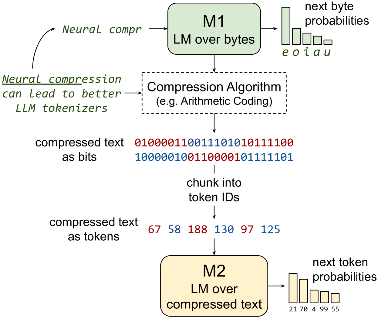 Training LLMs over Neurally Compressed Text
