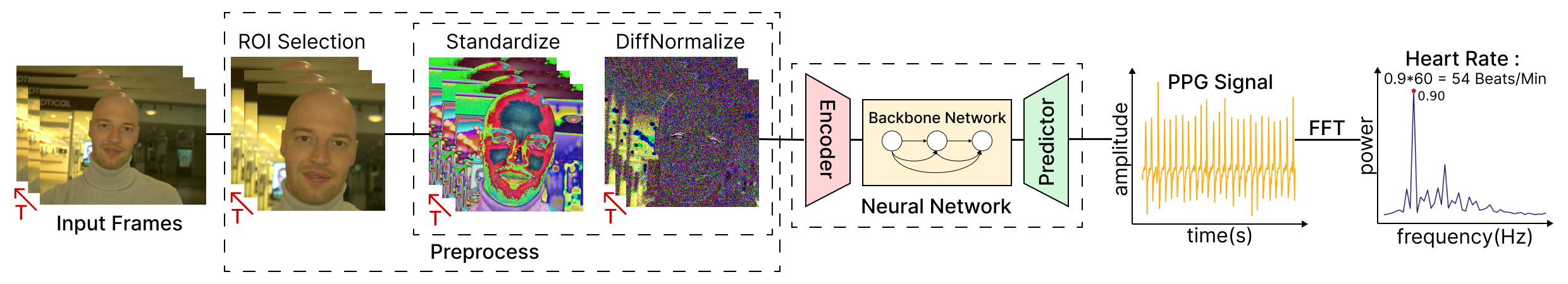 Camera-Based Remote Physiology Sensing for Hundreds of Subjects Across Skin Tones