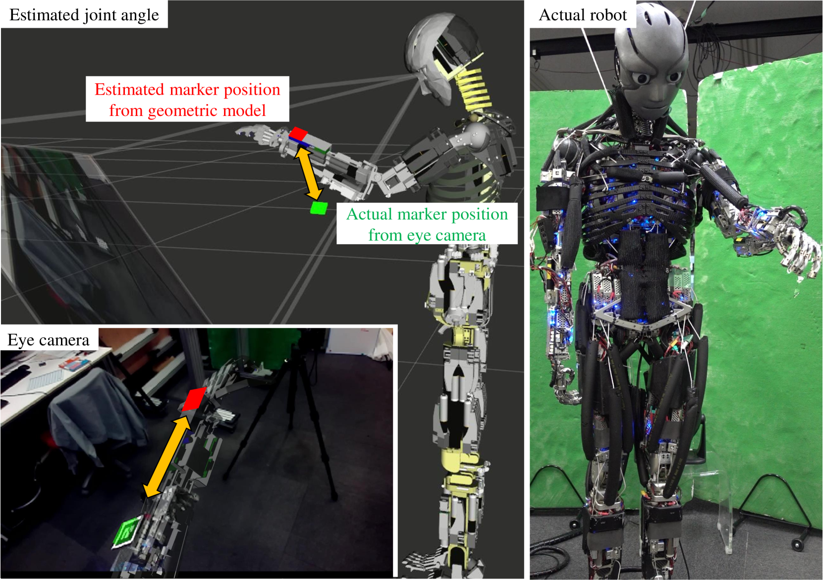 Online Learning of Joint-Muscle Mapping Using Vision in Tendon-driven Musculoskeletal Humanoids