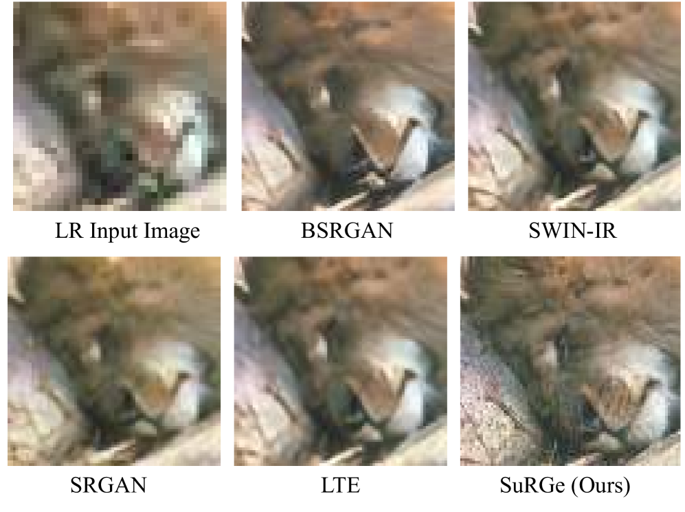 Fortifying Fully Convolutional Generative Adversarial Networks for Image Super-Resolution Using Divergence Measures