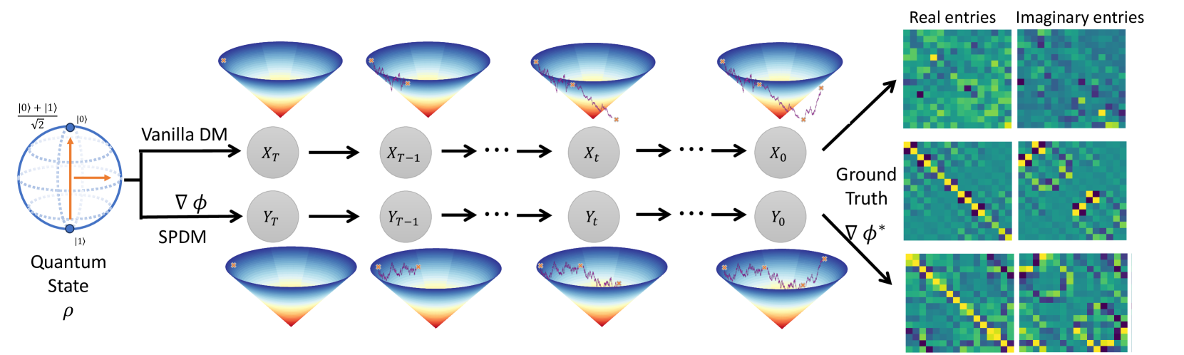 Quantum State Generation with Structure-Preserving Diffusion Model