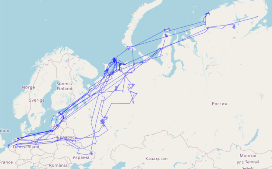 WildGraph: Realistic Graph-based Trajectory Generation for Wildlife