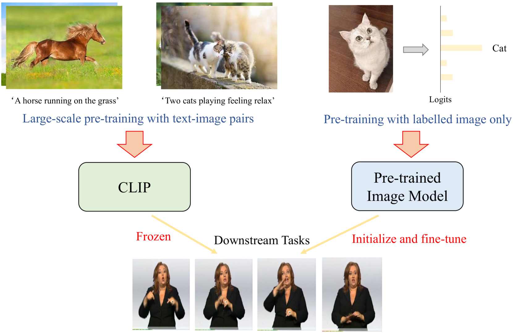 Improving Continuous Sign Language Recognition with Adapted Image Models