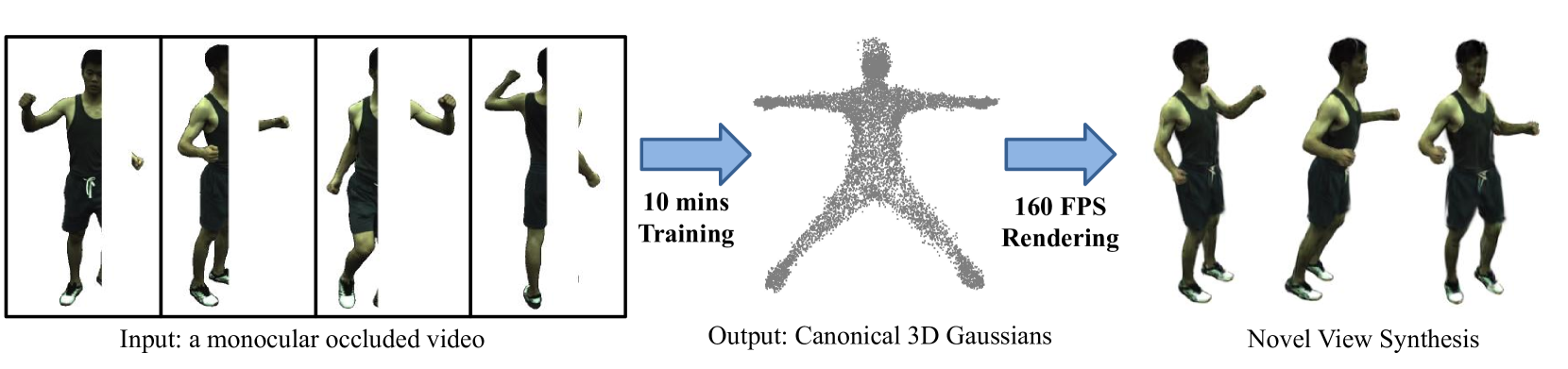 OccGaussian: 3D Gaussian Splatting for Occluded Human Rendering