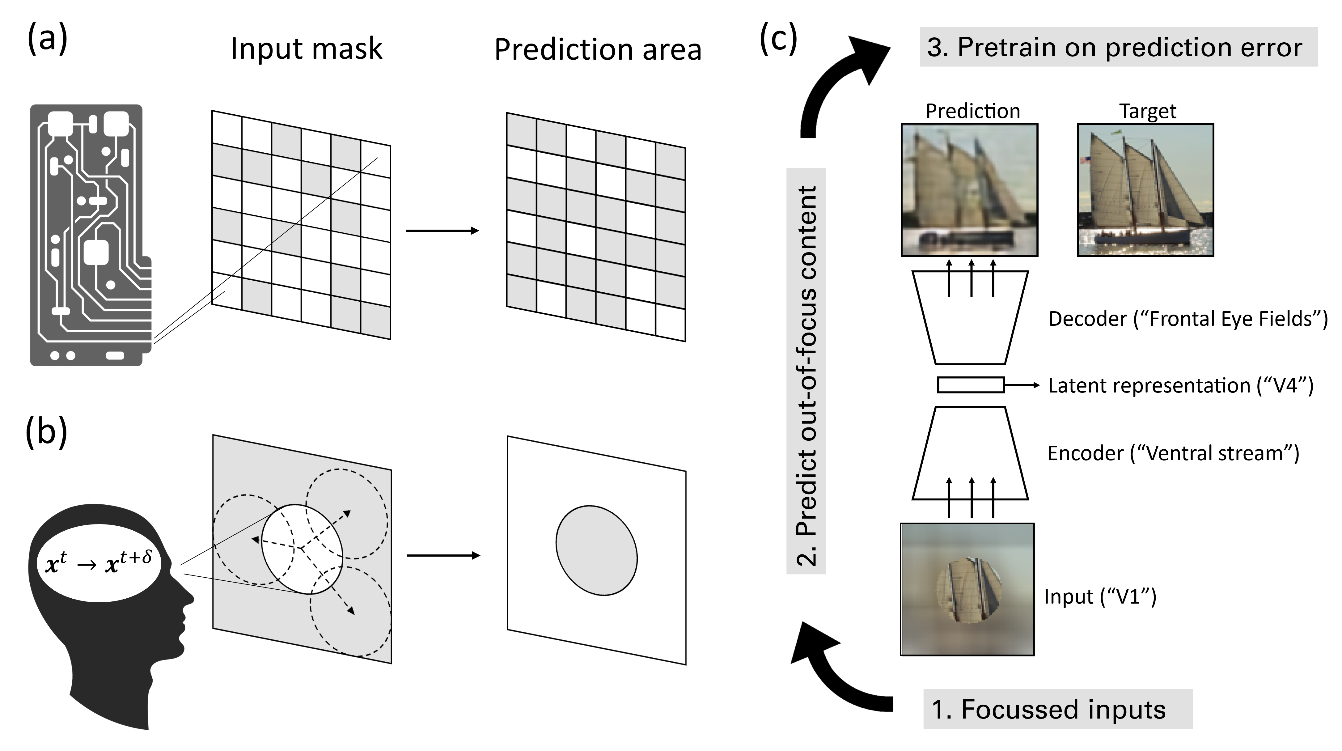 Masked Image Modeling as a Framework for Self-Supervised Learning across Eye Movements