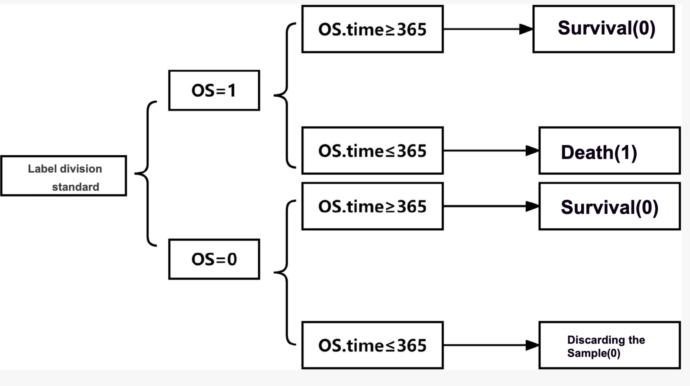 Survival Prediction Across Diverse Cancer Types Using Neural Networks