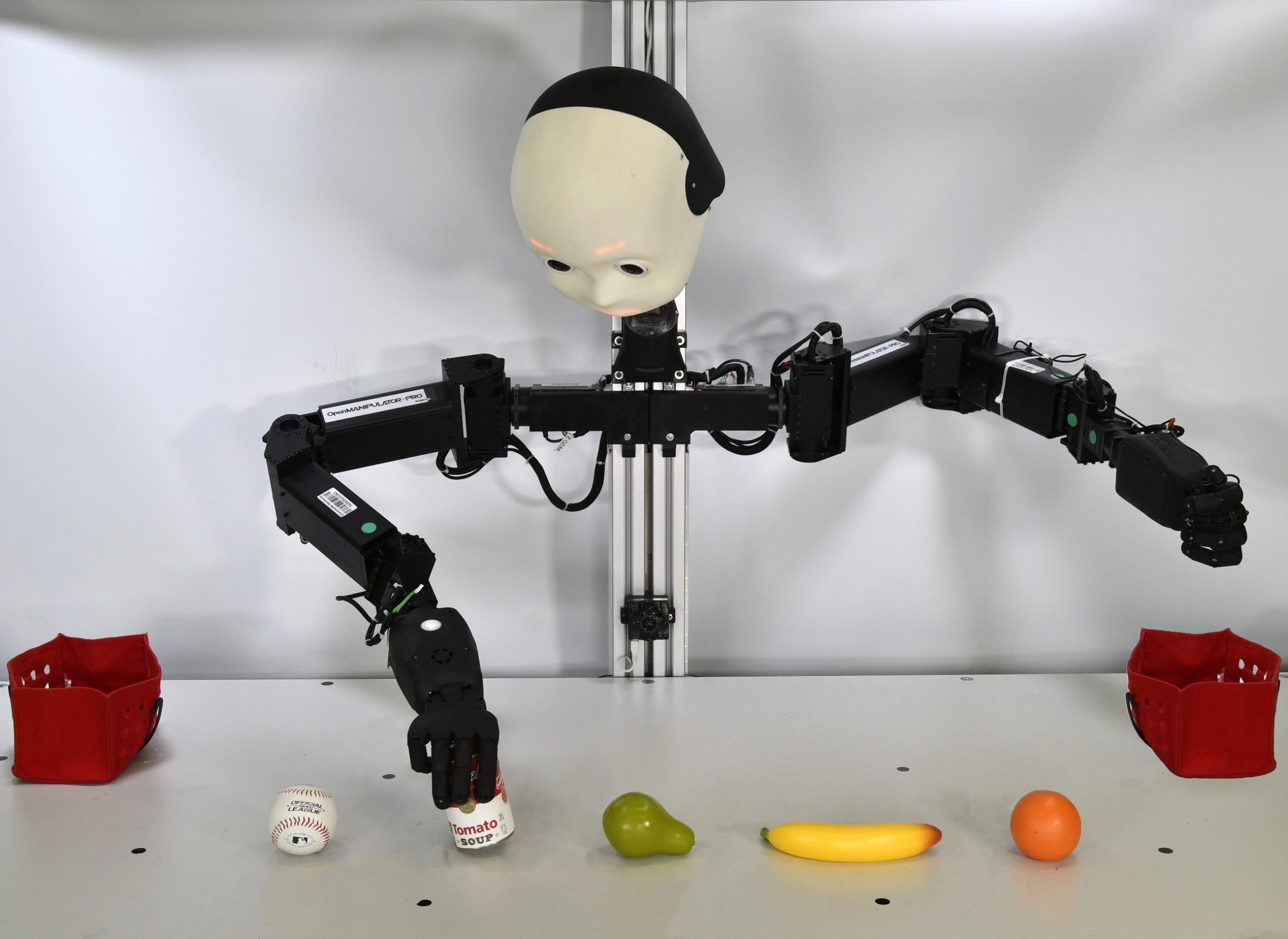 Inverse Kinematics for Neuro-Robotic Grasping with Humanoid Embodied Agents