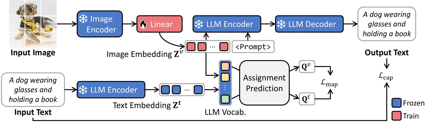 Bridging Vision and Language Spaces with Assignment Prediction