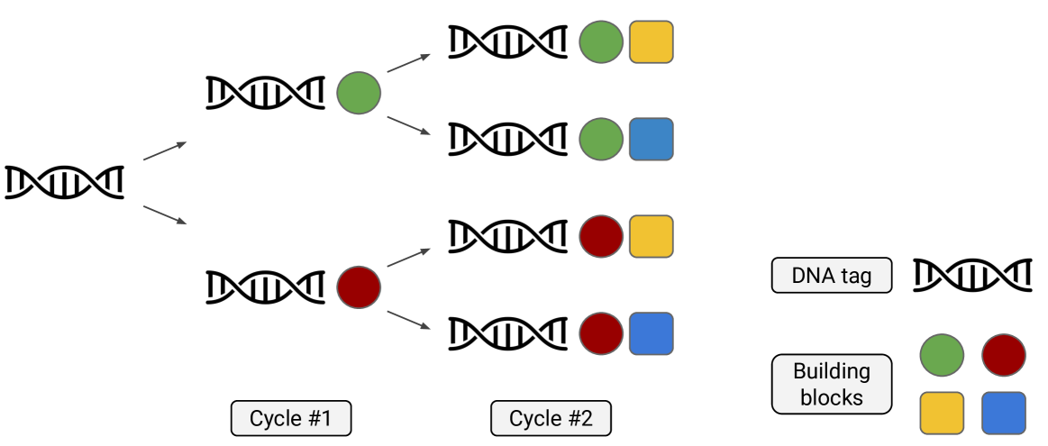 Towards DNA-Encoded Library Generation with GFlowNets