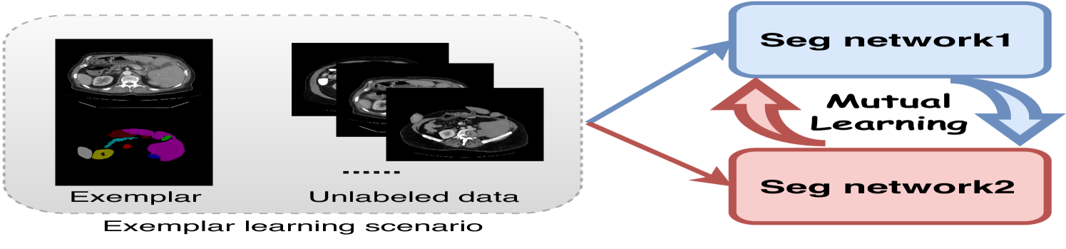 Cross-model Mutual Learning for Exemplar-based Medical Image Segmentation