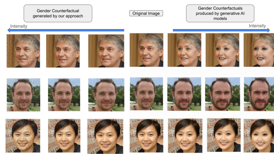 Utilizing Adversarial Examples for Bias Mitigation and Accuracy Enhancement